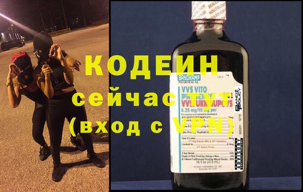 индика Абаза