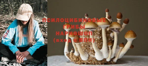 ECSTASY Алексин