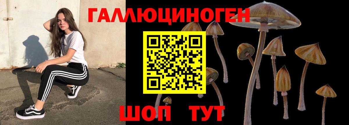 Галлюциногенные грибы мухоморы  Вход с VPN  цена наркотик  Сочи  Галлюциногенные грибы MAGIC MUSHROOMS 